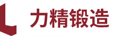 安徽力精锻造有限公司